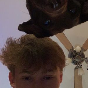 Meet your Posher, Ben